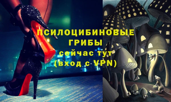 марки lsd Алексеевка