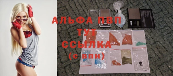 спиды Алзамай