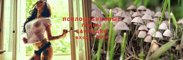 спиды Алзамай