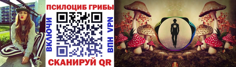 Галлюциногенные грибы GOLDEN TEACHER  продажа наркотиков  Глазов 